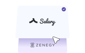 Salary vs Zenegy