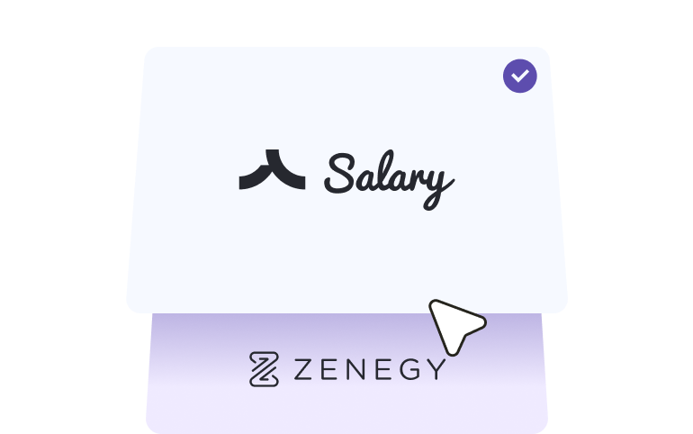Salary vs Zenegy